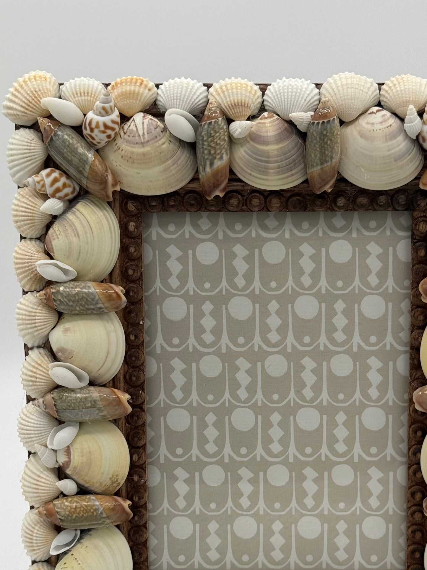 Shell Frame