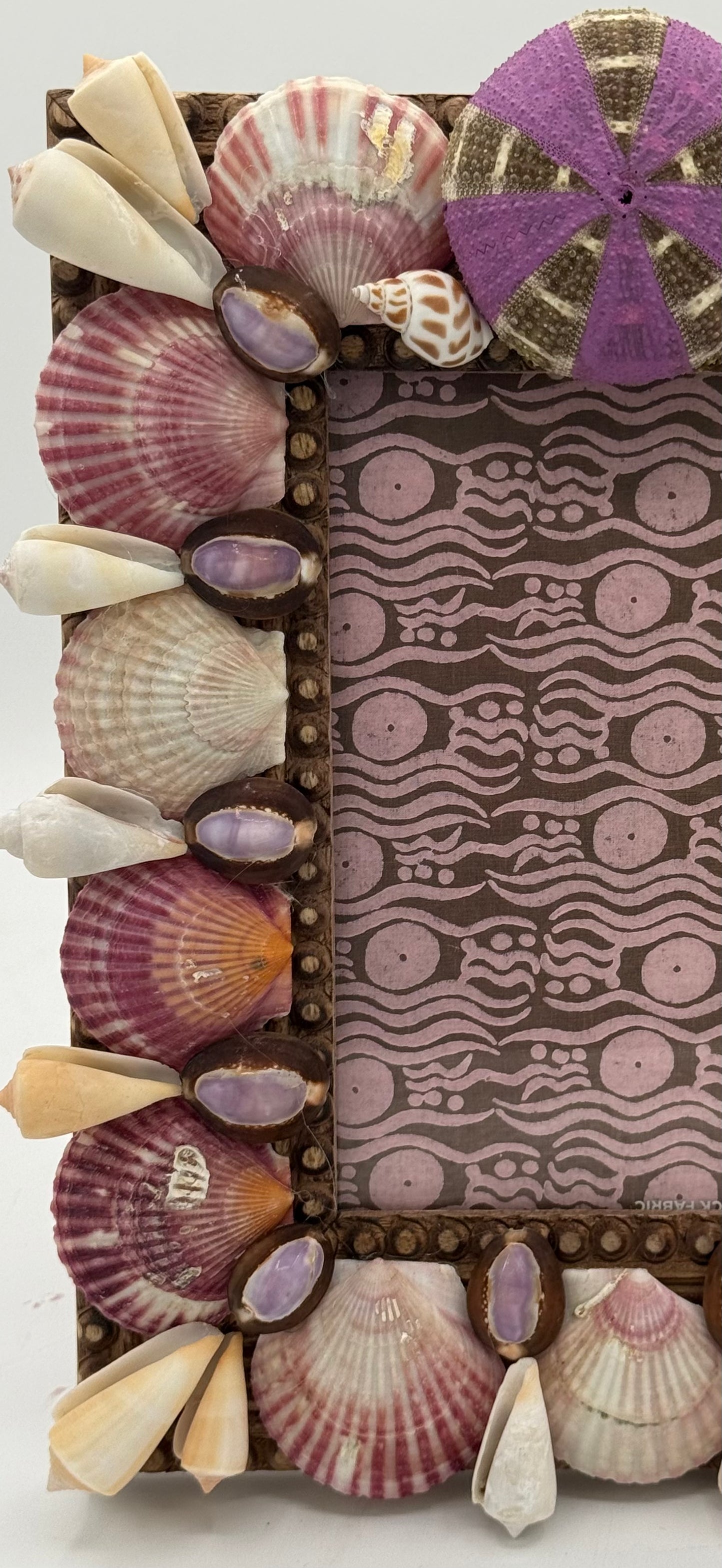 Shell Frame