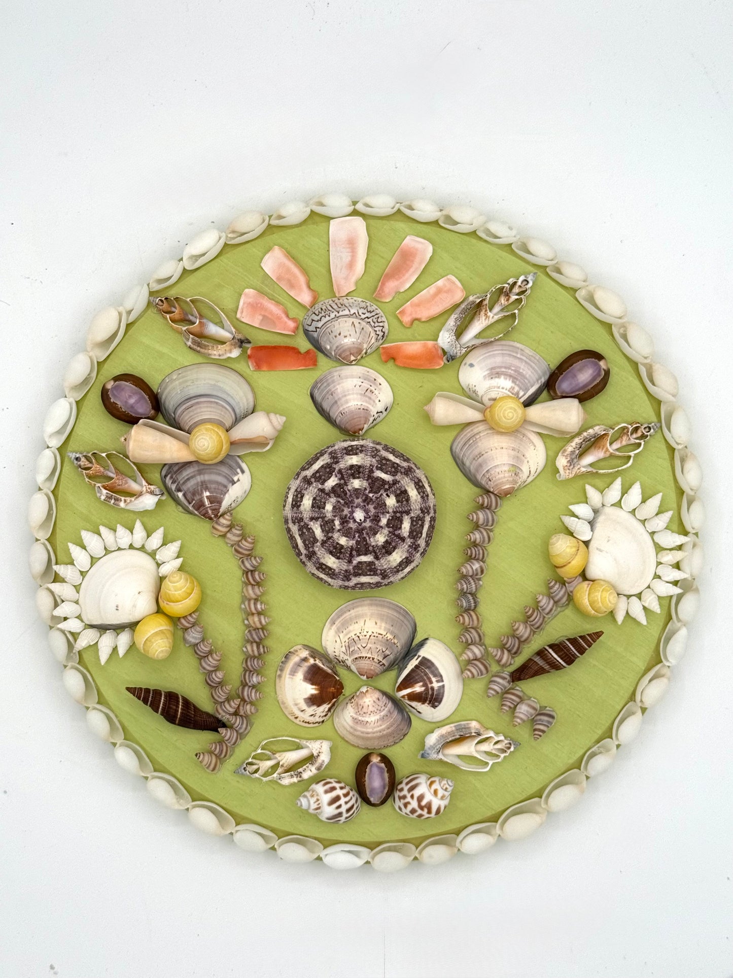 Shell Panel 12"