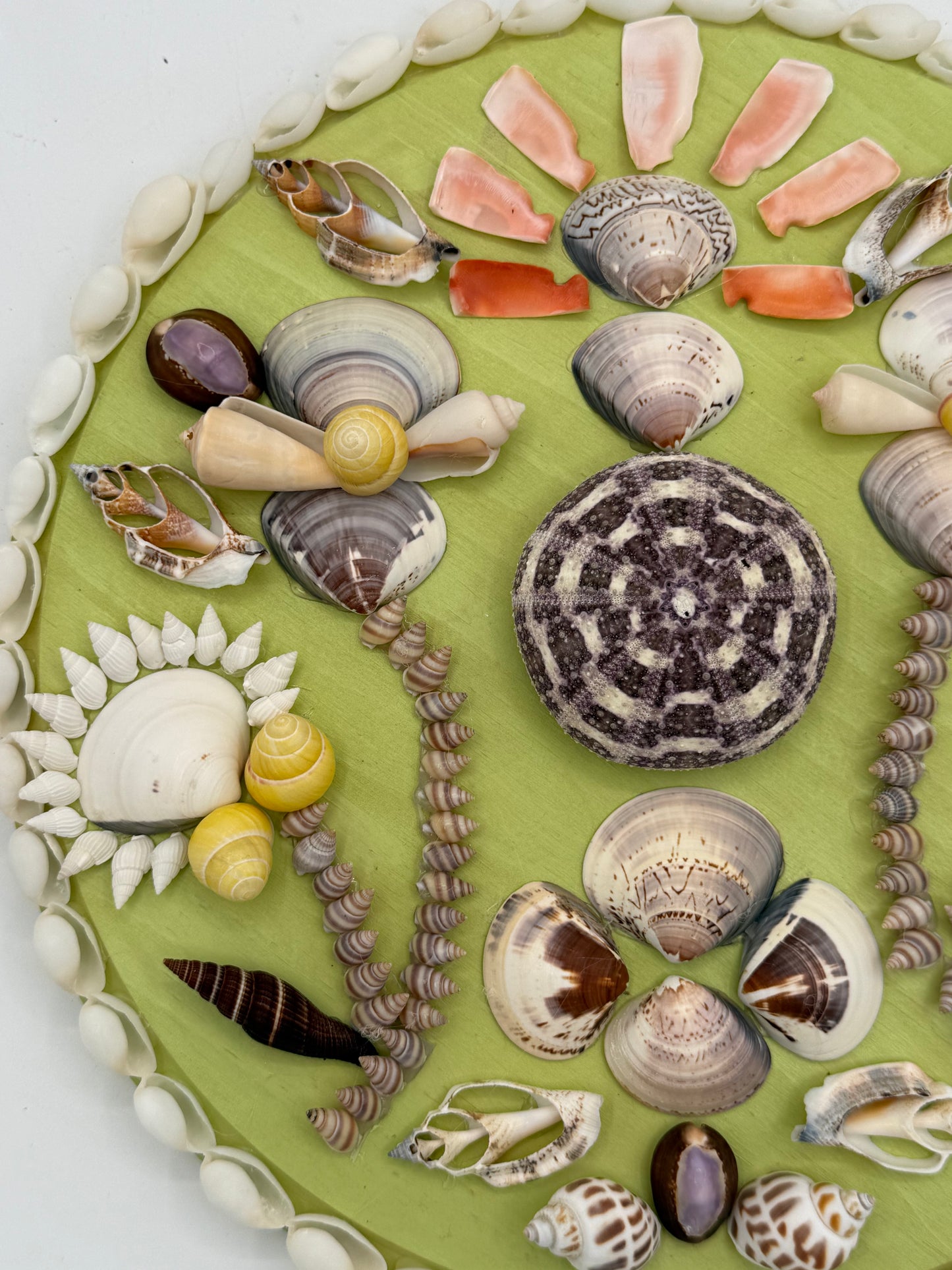 Shell Panel 12"