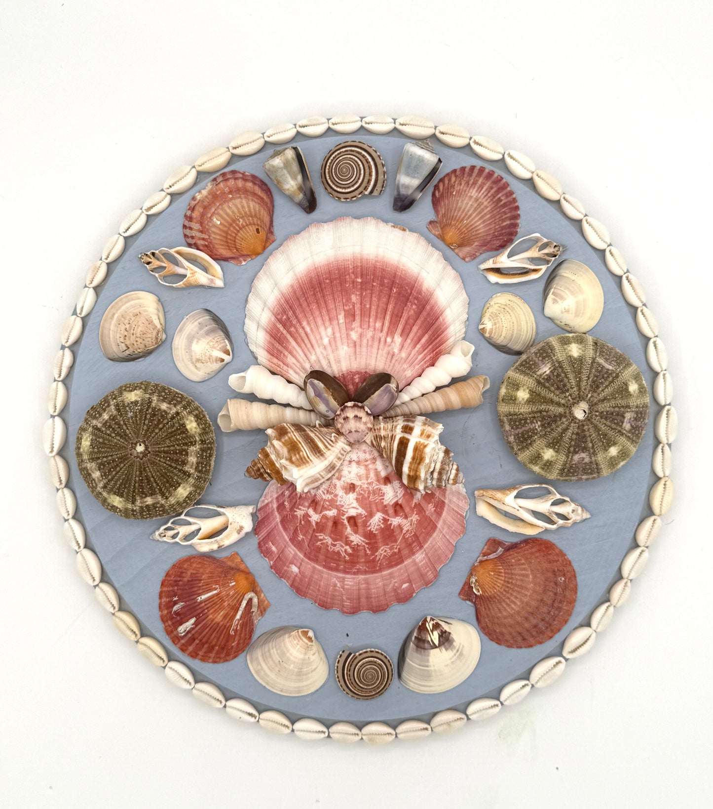 Shell Panel 12"
