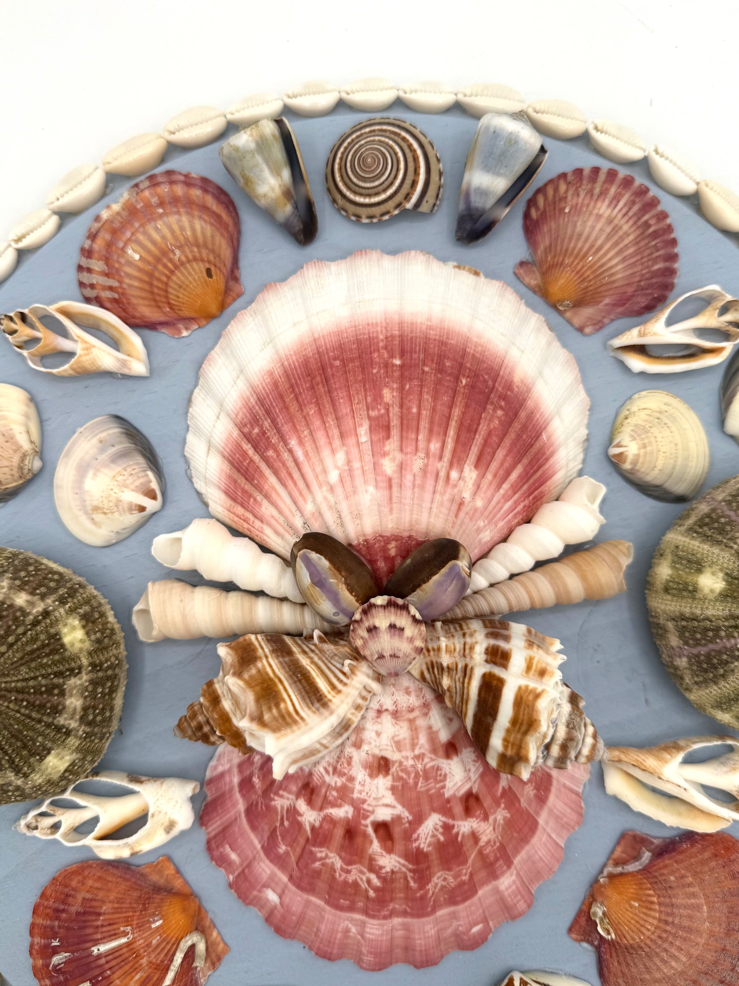 Shell Panel 12"