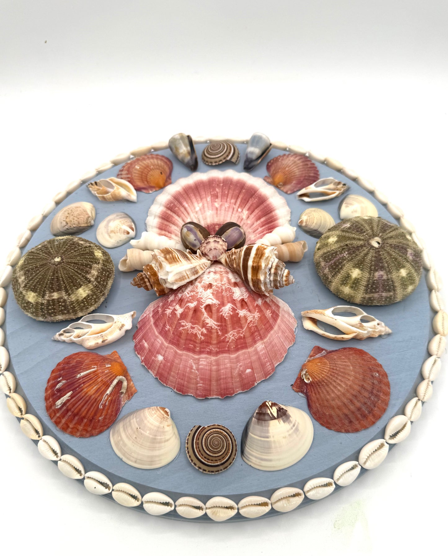 Shell Panel 12"