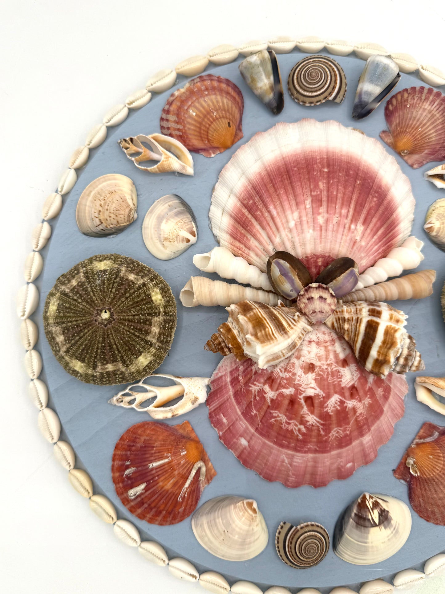Shell Panel 12"