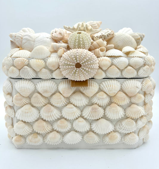 Shell Box , Large