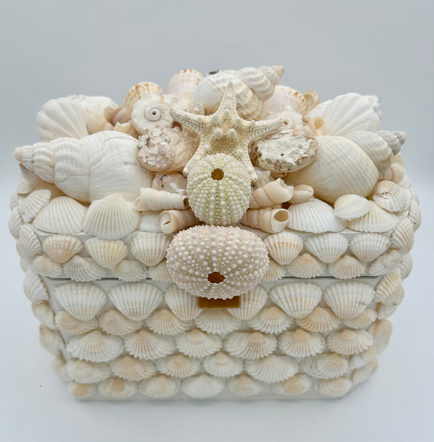 Shell Box , Large