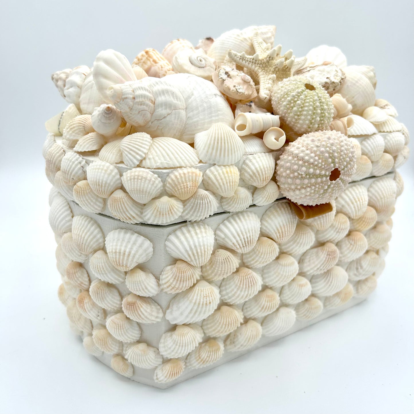 Shell Box , Large