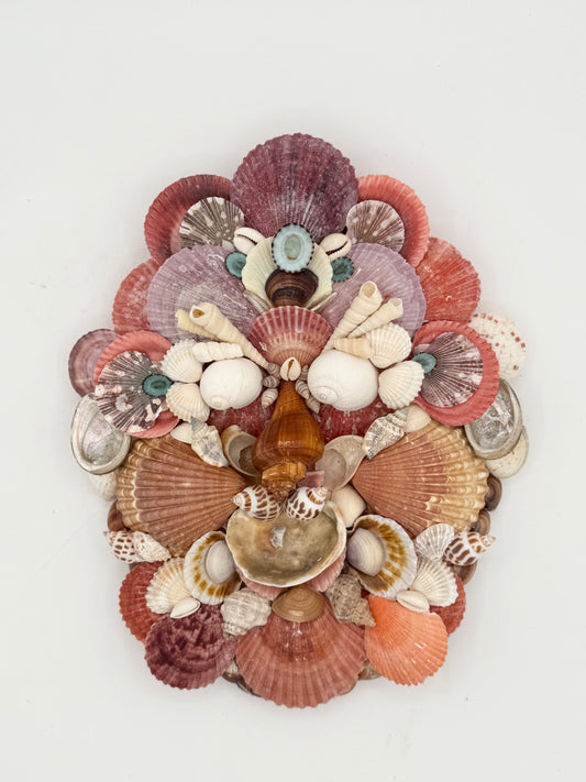 Shell Face