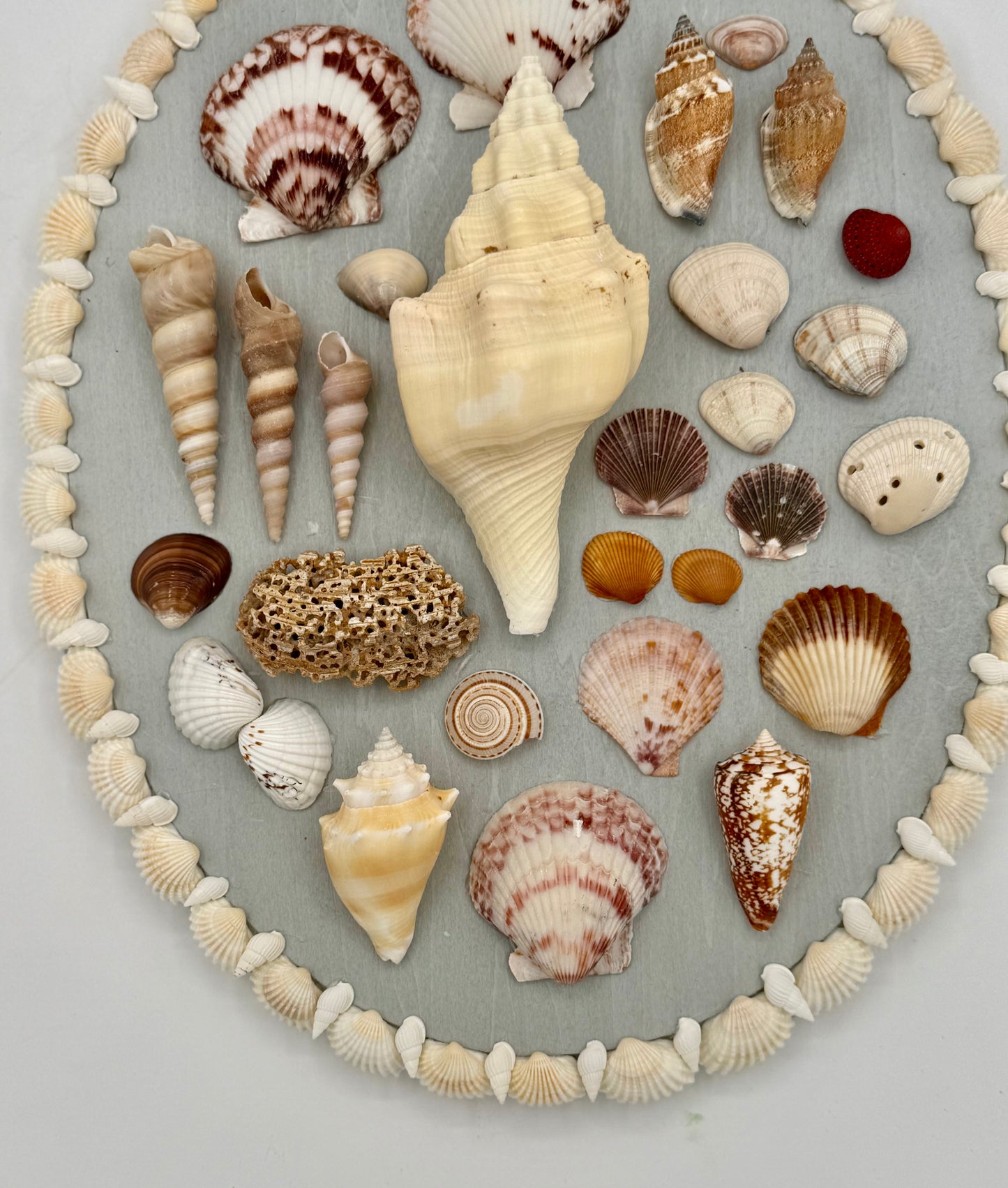 Oval Shell Panel