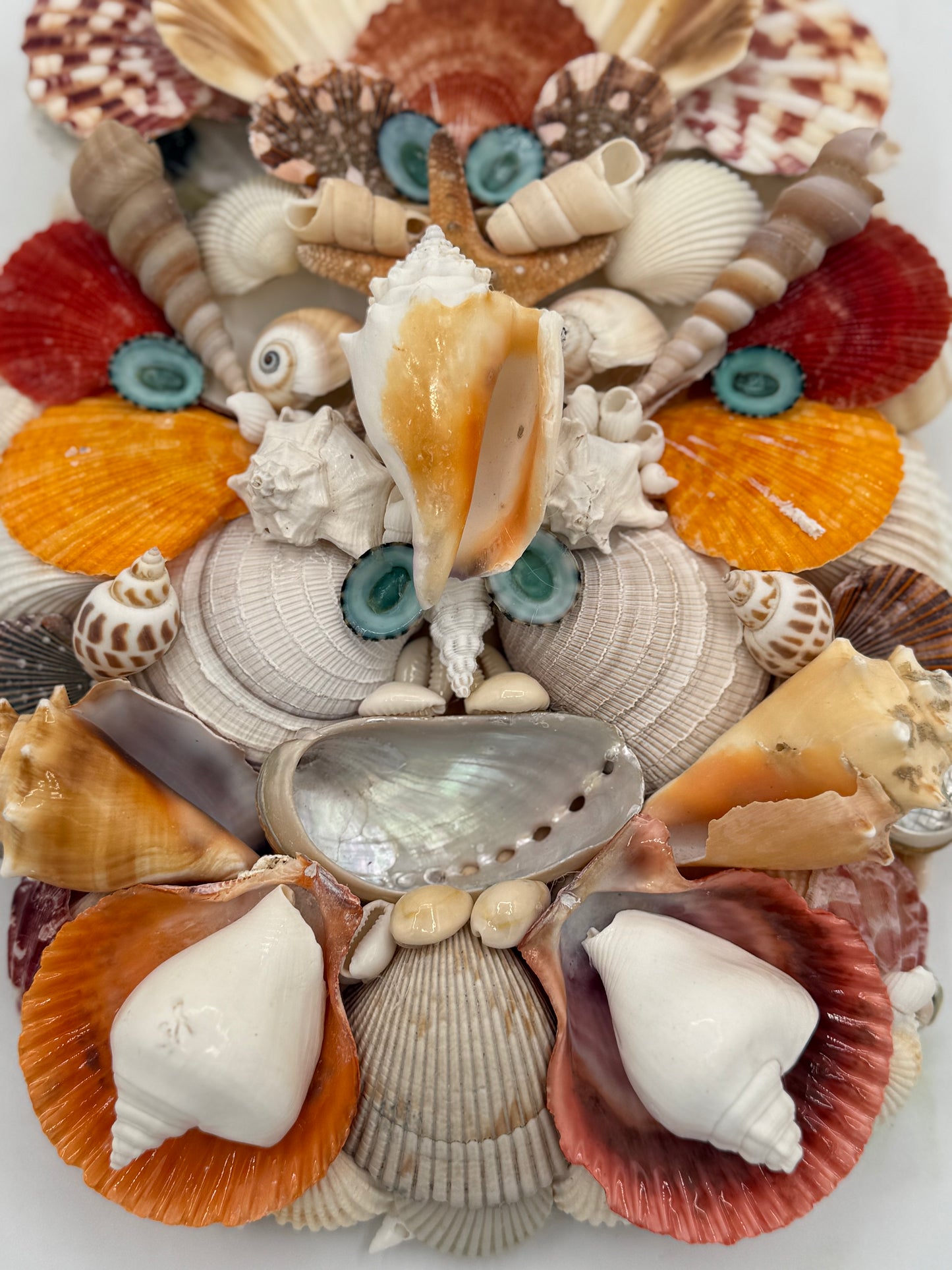 Shell Face