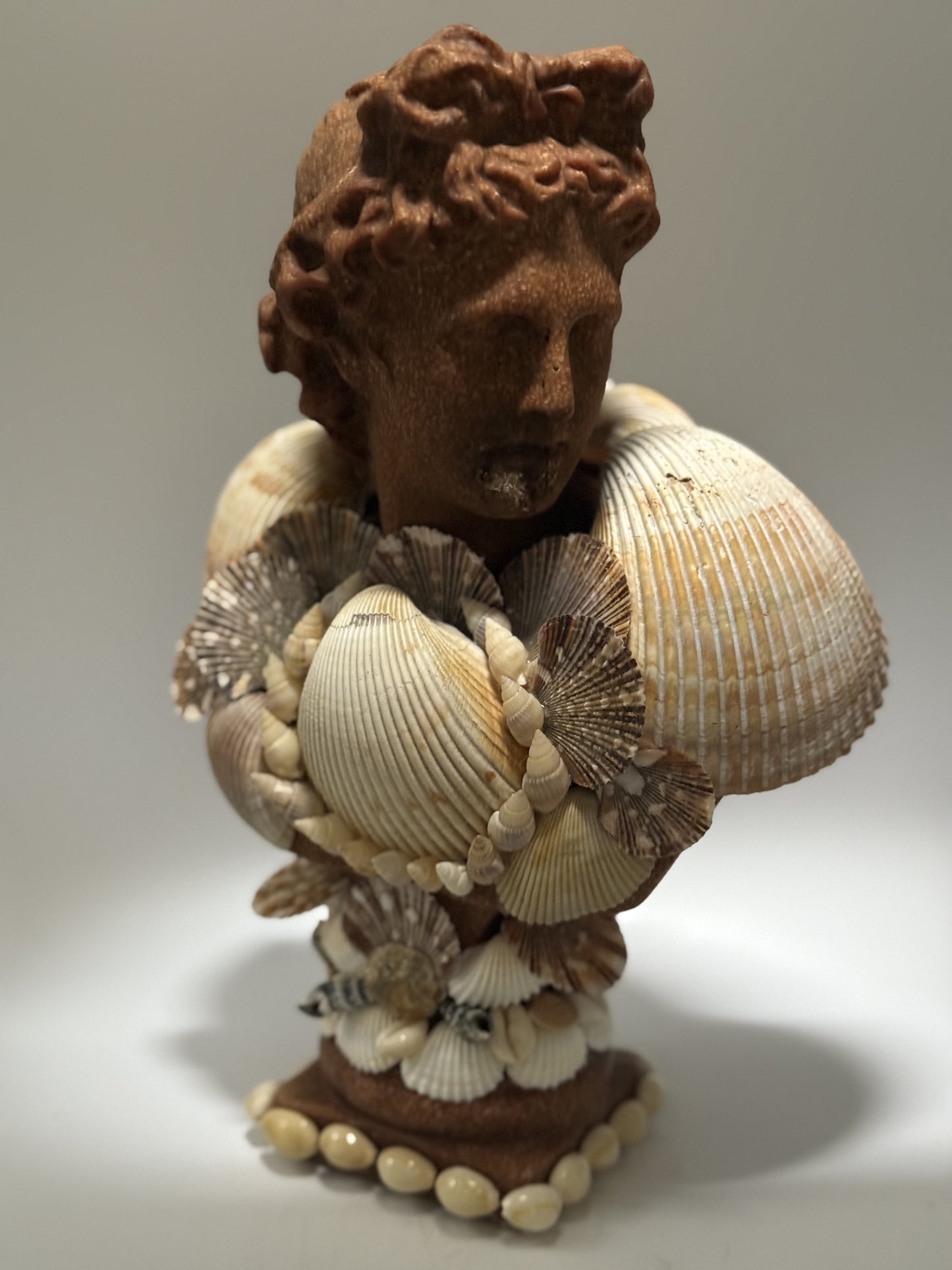 Greek God Shell Bust