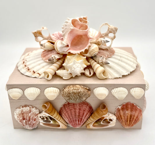 Shell Box
