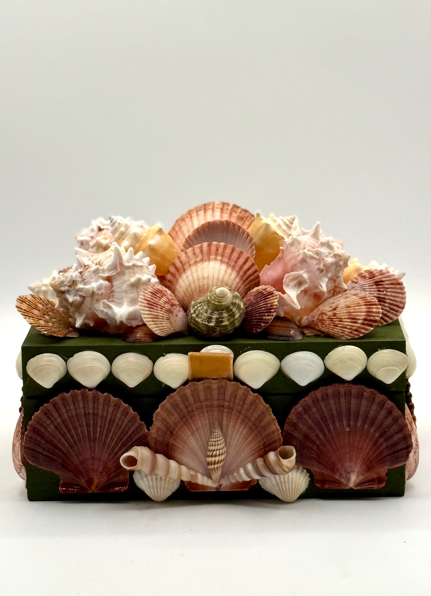 Shell Box