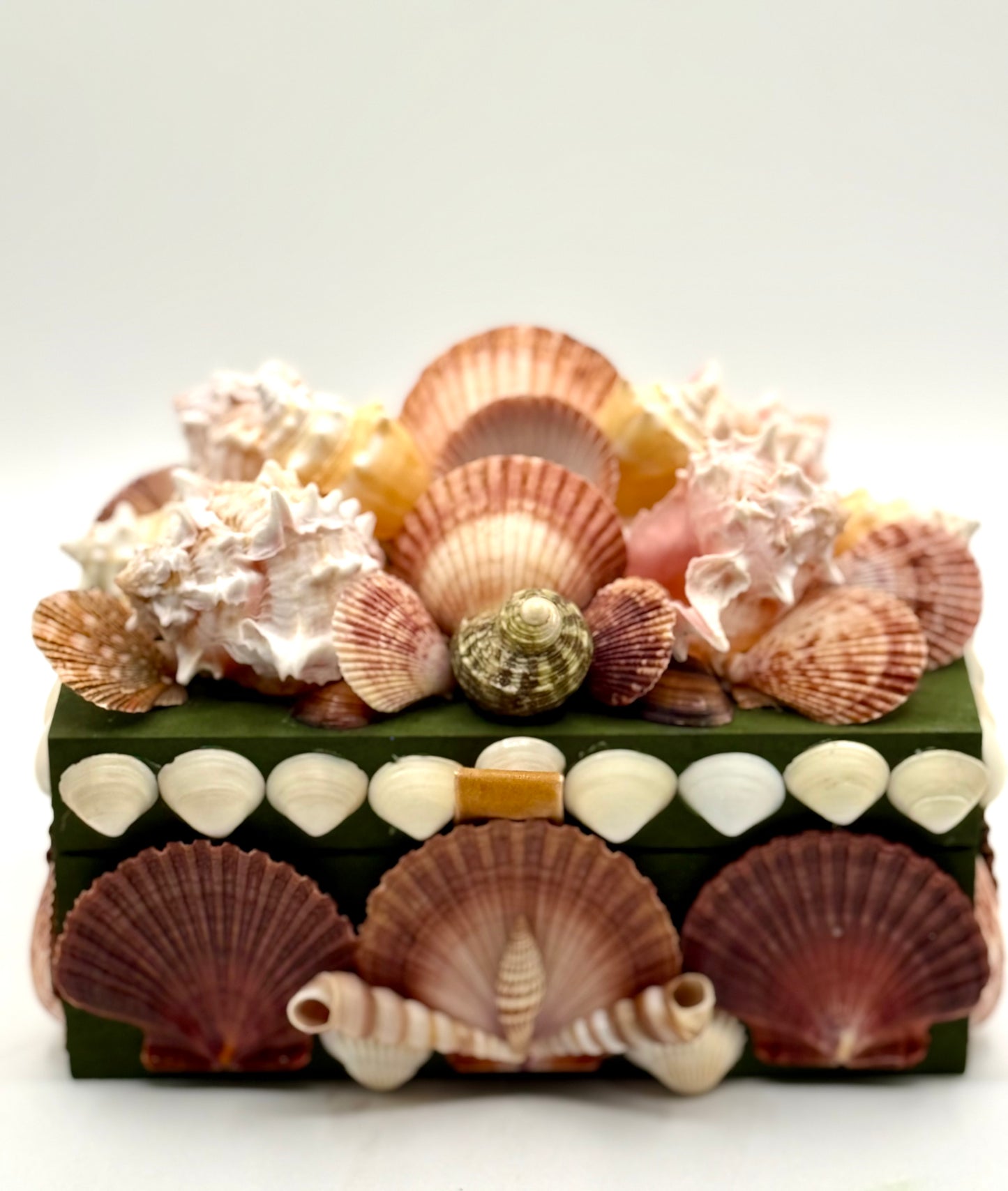 Shell Box