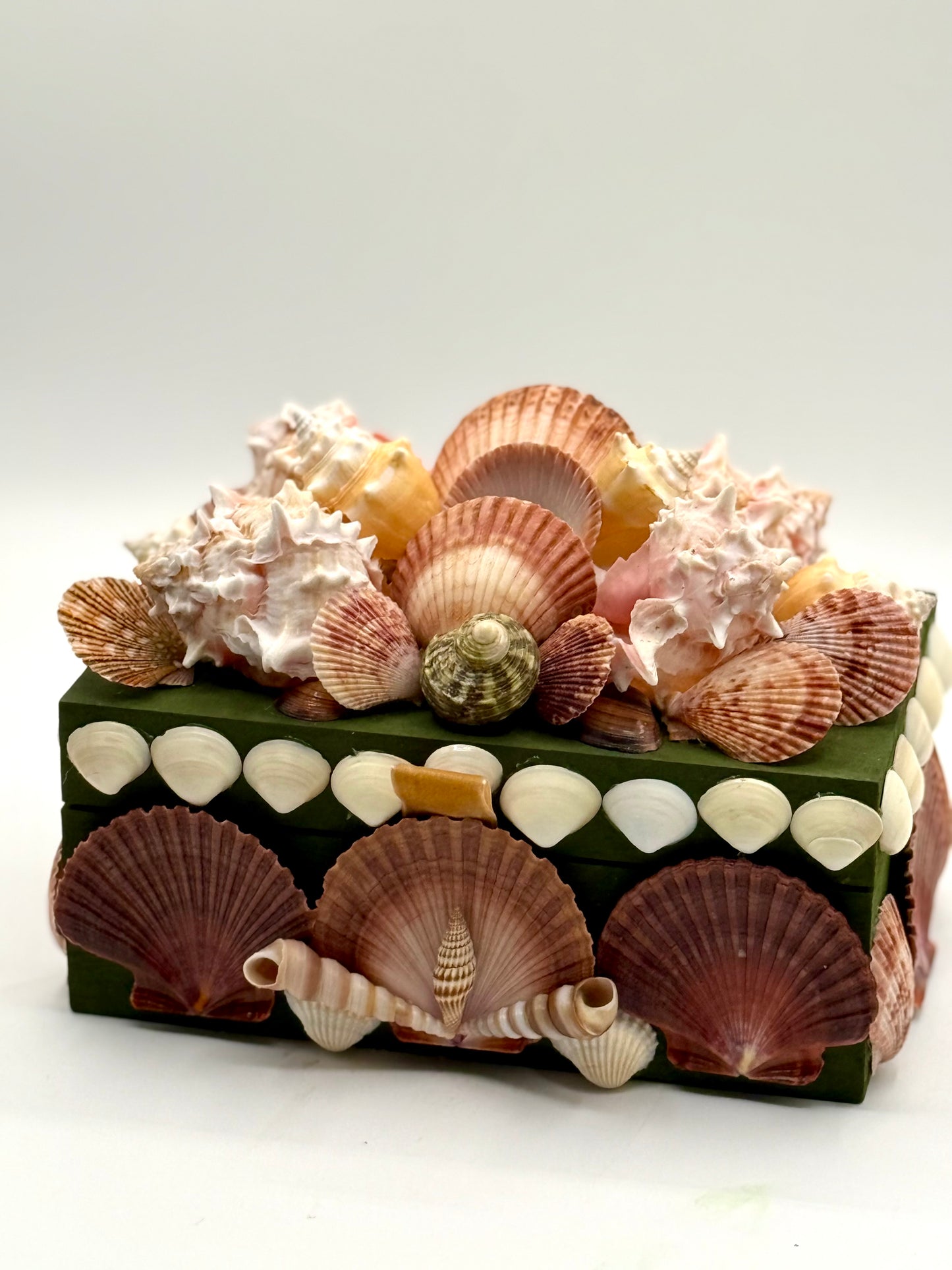 Shell Box