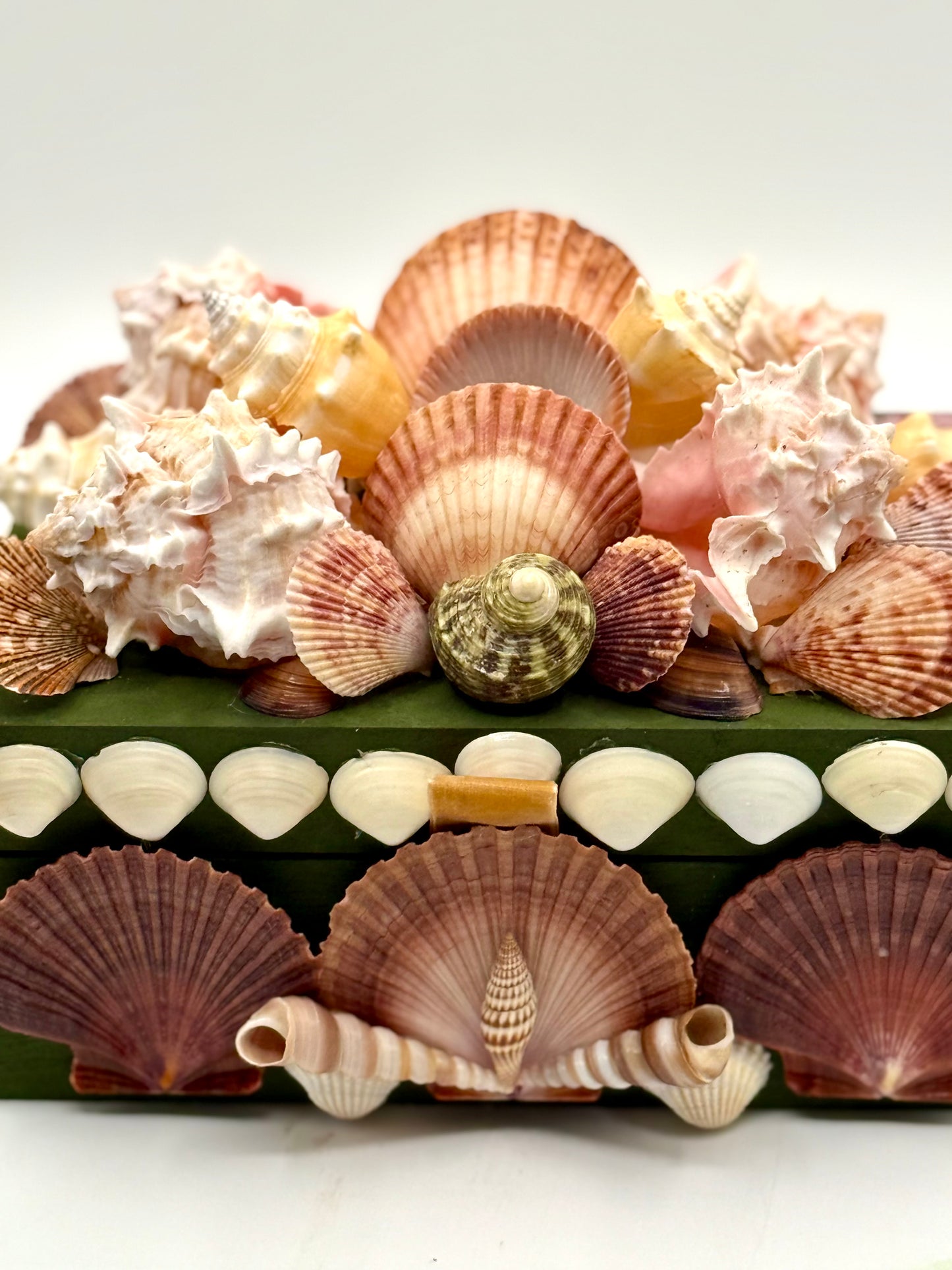 Shell Box