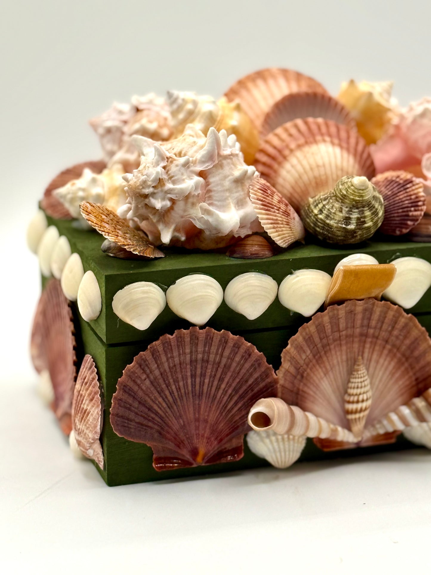 Shell Box