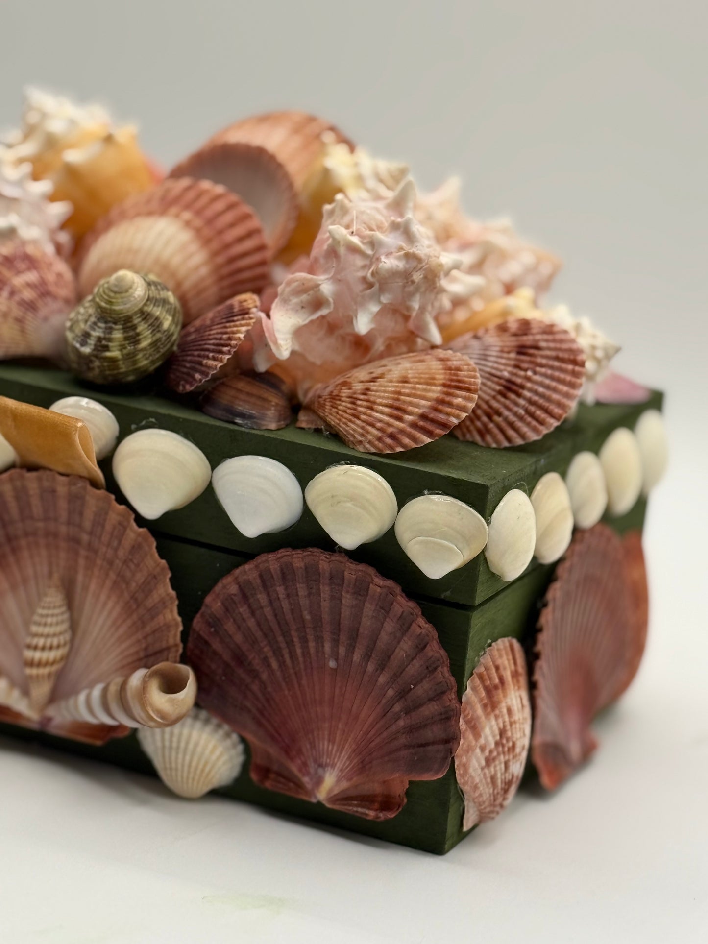 Shell Box