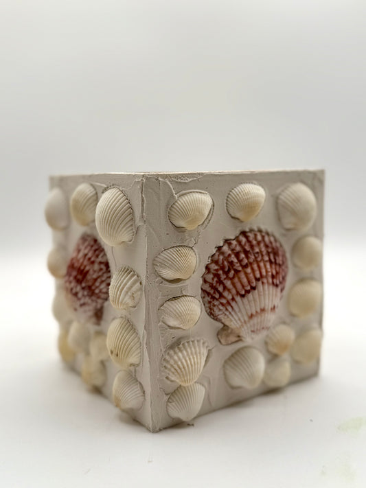 5" Shell Planter Box