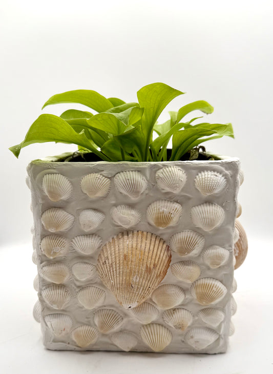 Shell Encrusted Planter