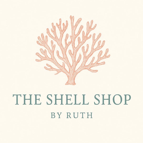 The Shell Shop by Ruth 