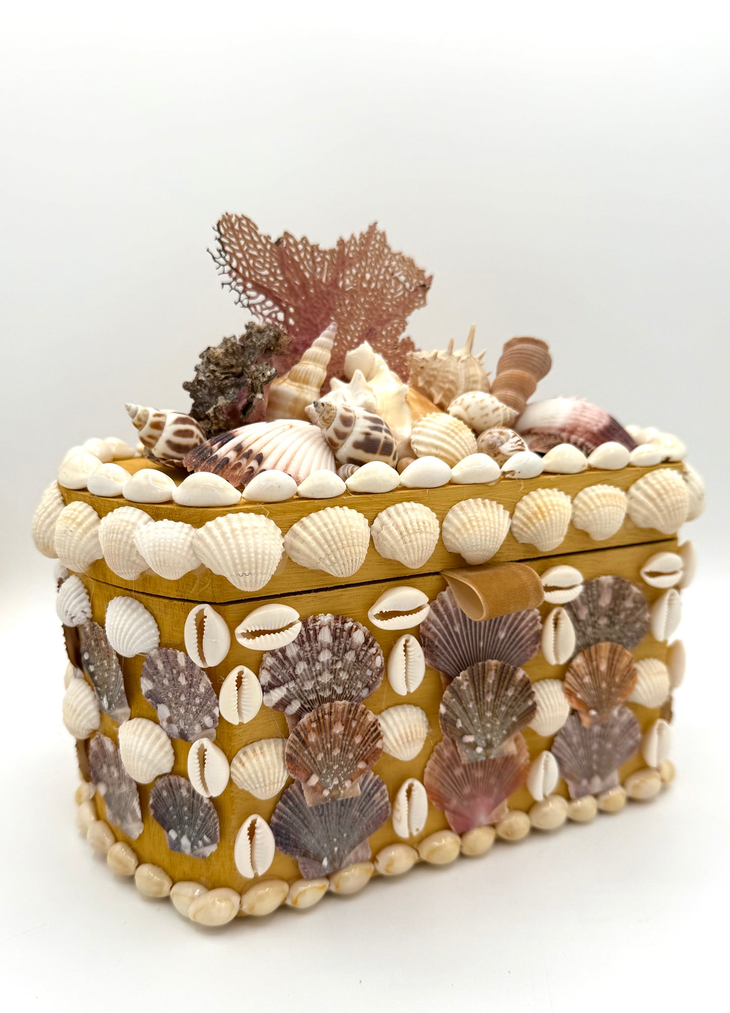 Shell Box