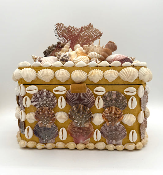 Shell Boxfor Writting Shell Boxes – The Shell Shop by Ruth