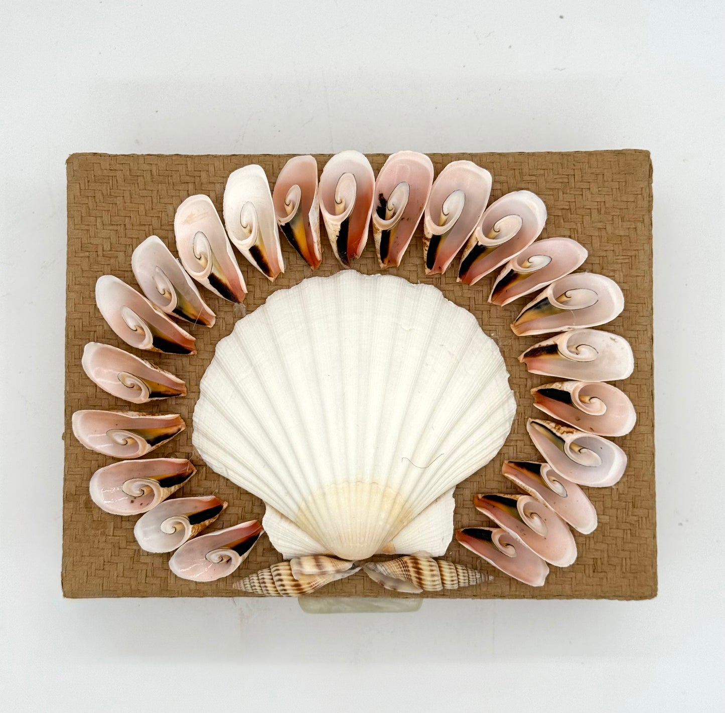 Shell Box
