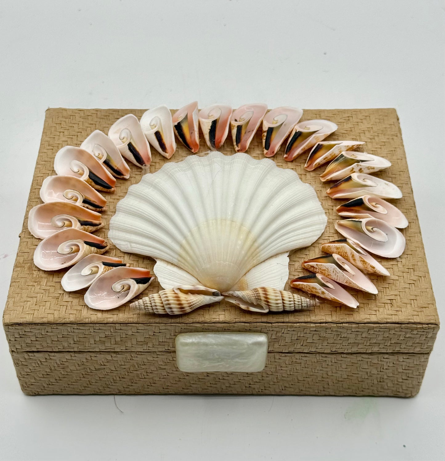 Shell Box