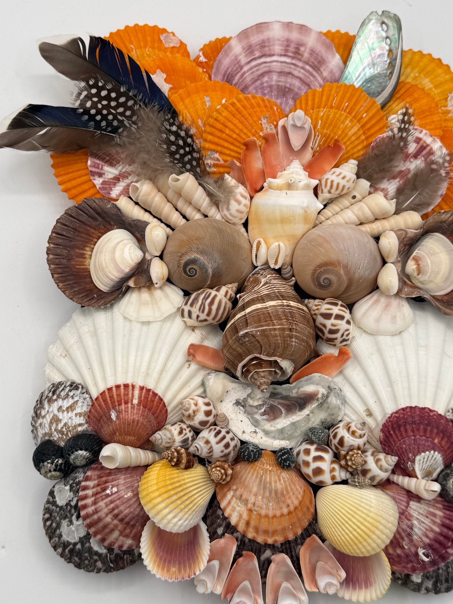 Shell Face