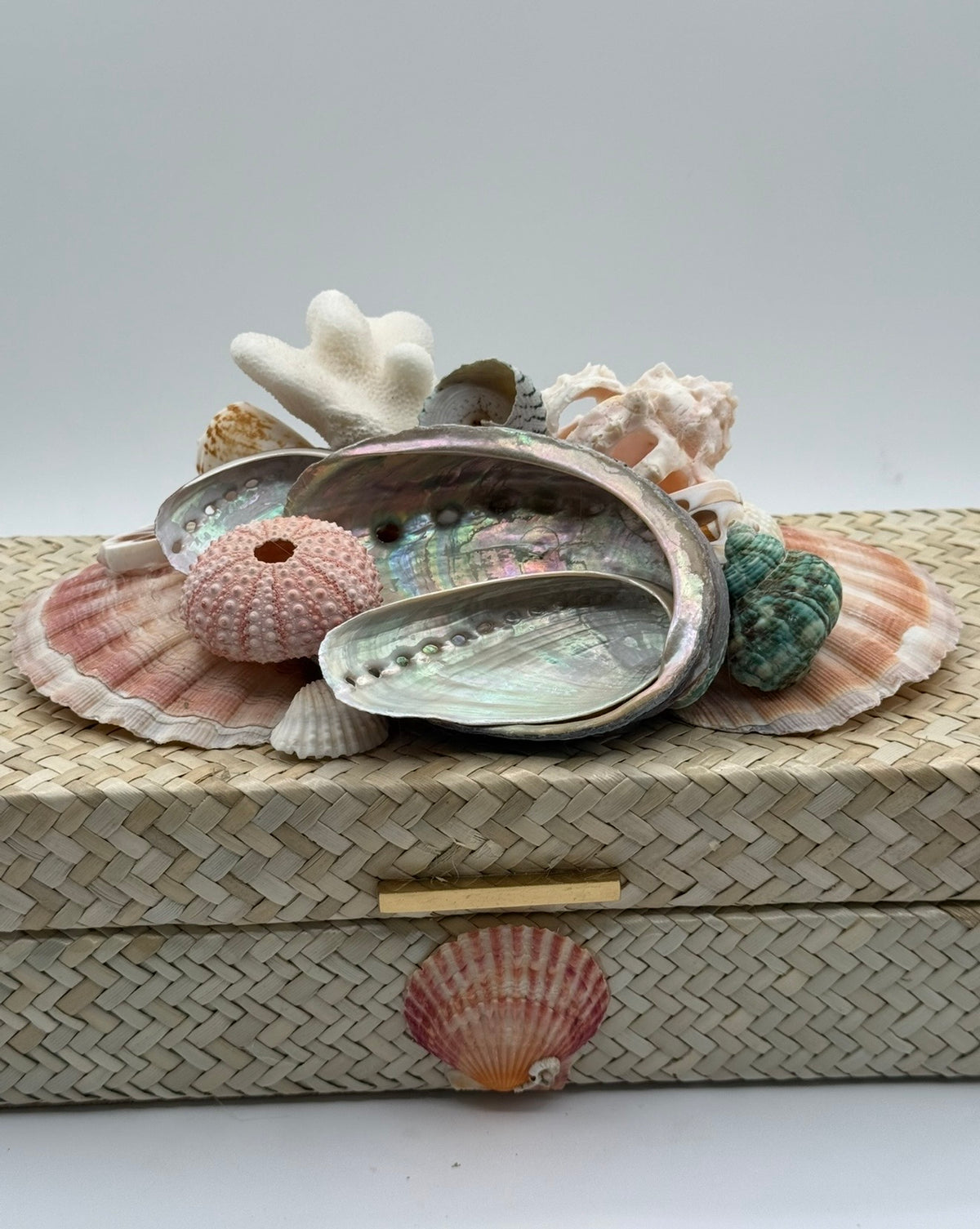 Shell Box