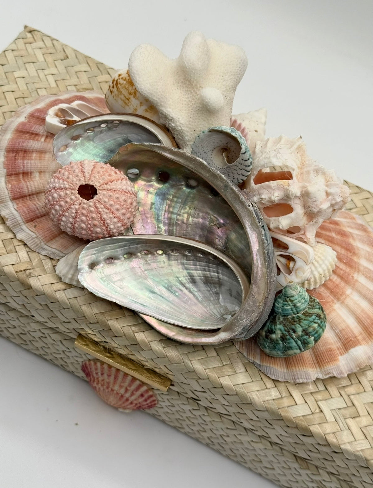 Shell Box