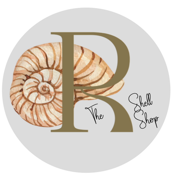 The Shell Shop by Ruth – The Shell Shop by Ruth